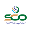 Logo 1
